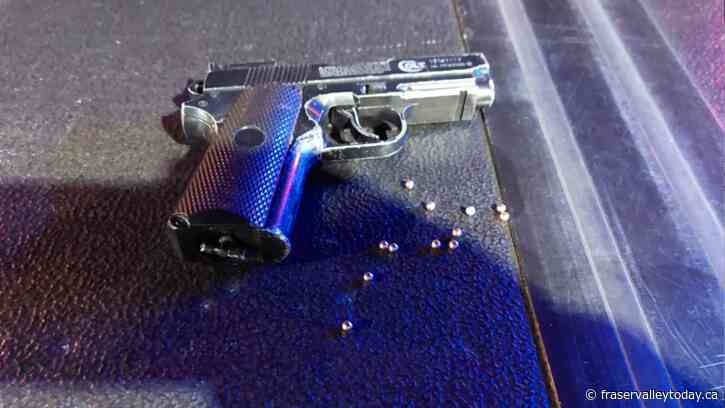 Abbotsford woman arrested for discharging pellet gun at police