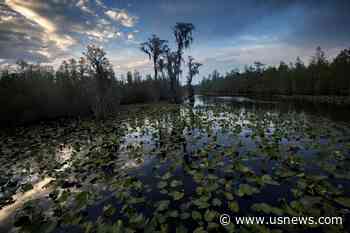Bill to Halt Mining Near Okefenokee Gets Hearing but No Vote