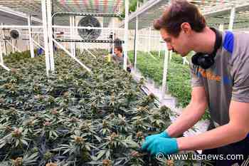 Minnesota Bill to Legalize Marijuana Gets Major Rewrite