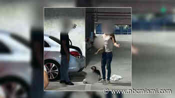 Man Said He Witnessed Death of 2 Puppies Left in Hot Car in Fort Lauderdale