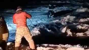 Nunavut hunters rescued after walrus flips boat, leaving them to wait 6 hours for rescue