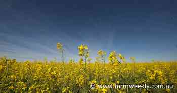 Health movement creates grower opportunity