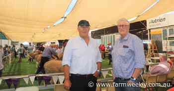 AWI: No formal stance on live export