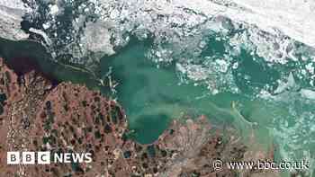 Willow Project: US government approves Alaska oil and gas development