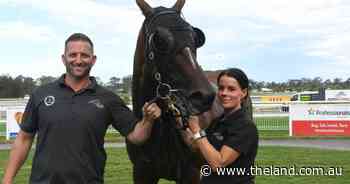 Tribute King's cup win