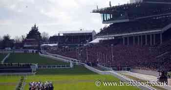 Cheltenham Festival 2023: First horse death after horror fall in final race