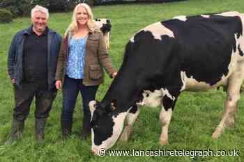 Darwen farmer warns of the dangers of fly tipping on farm animals