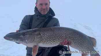 Record-tying northern pike caught on Mille Lacs Lake