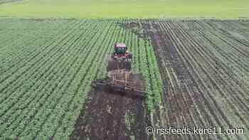 U.S. now a net food importer: The state of farming in Minnesota