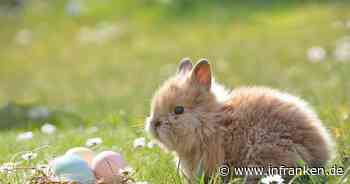 Neustadt: Traditionelle Frühlingsfeier findet wieder statt - mit spannenden Aktionen für Kinder