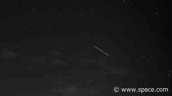 Gamma Normid meteor shower peaks on March 15 for the southern hemisphere