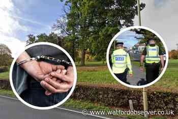 More arrests after Gadebridge Park, Hemel Hempstead attack