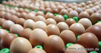 Mehr Eier aus ökologischer Erzeugung