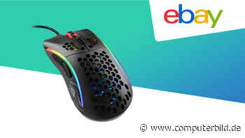Glorious Model D Gaming-Maus zum Bestpreis bei Ebay!