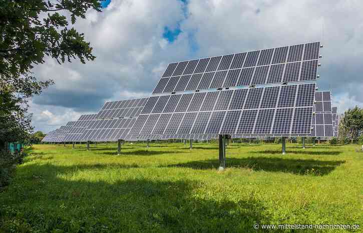 Photovoltaik für Gewerbe: PV-Strom ist die Zukunft