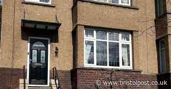 Bristol's hidden beautiful Japanese garden that's one of the most stunning in the country