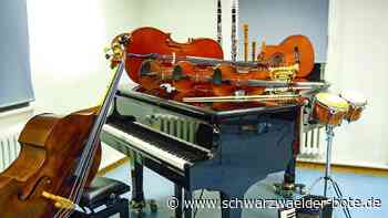 Musikschule Wildberg: Unterricht einmal live erleben