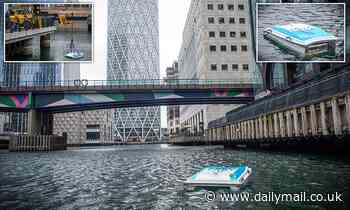 Robot SHARK is deployed in London's Thames river that can collect 1,100lbs of rubbish a DAY