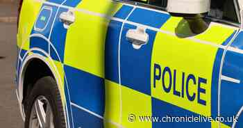 Suspected drug driver behind wheel of 10-tonne wagon in Northumberland is arrested