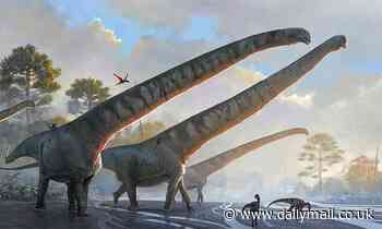 Dinosaur that roamed China 162 million years ago had the longest neck of any animal ever