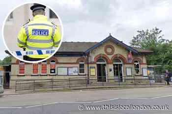 Man masturbated in front of woman near Alexandra Palace station