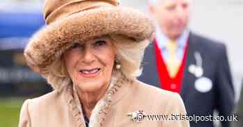 Cheltenham Festival's best outfits and daring hats at Ladies' Day