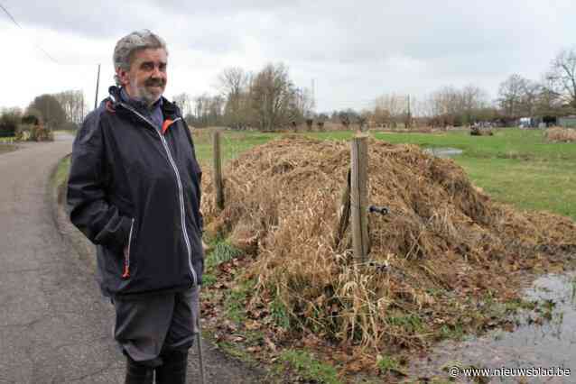 Lierenaar bekritiseert beheer van Natuurpunt: “Ze creëren een kweekstation voor ratten in Babbelbeekse Beemden”
