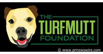 10 Ways to Know If You're a Master Backyarder, Says The TurfMutt Foundation