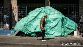 People working to help B.C.'s homeless population concerned about growing vigilantism