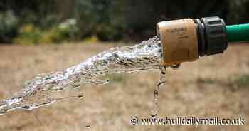 Summer of hosepipe bans and water shortages looms after dry winter, say experts