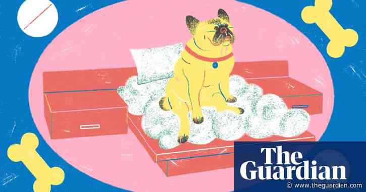 What makes me happy now: my very old dog