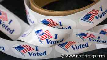 A Voter's Guide to the 2023 Chicago Municipal Runoff Elections