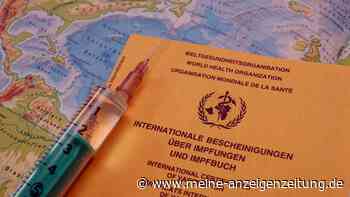 2023 wird „Rekord-Reisejahr“: Diese Impftipps sollten Reisende laut Tropenmediziner beherzigen