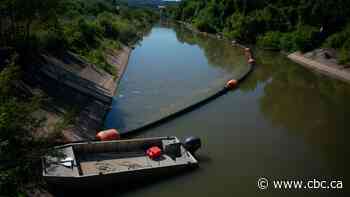 Hamilton given extension to clean up Chedoke Creek