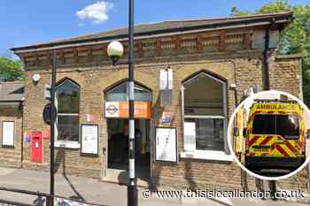 Person 'hit by train' at Stamford Hill Station