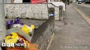 Boy, 12, dies after being hit by van in Pool, Cornwall