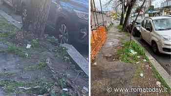 Marciapiedi distrutti e asfalto rovinato: la strada su cui affacciano licei e scuole va sistemata