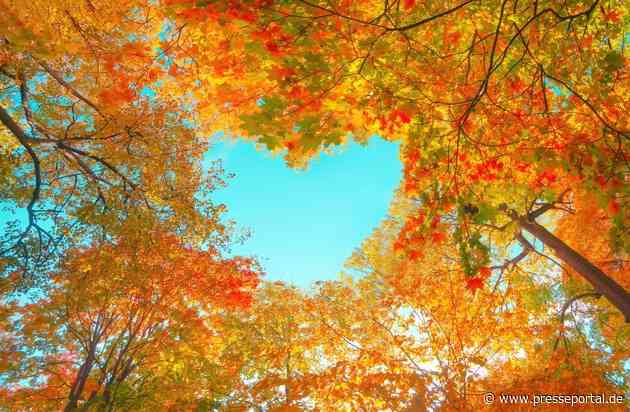 eDreams ODIGEOs Prime-Abonnement expandiert nach Kanada und überschreitet den Meilenstein von 4 Millionen Mitgliedern