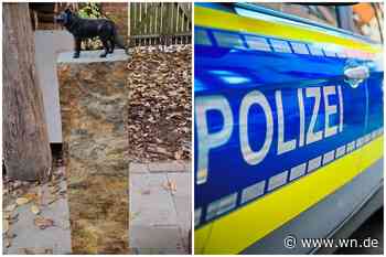 Bronze-Skulptur aus botanischem Garten gestohlen