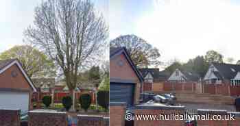 Man gets hefty fine after tree is chopped down during £6k work to home