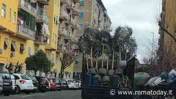 Da Colli Aniene a Casal Bruciato tornano gli alberi sui marciapiedi