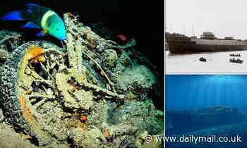 British WWII munitions ship that was sunk by a German bomber has formed an artificial coral REEF