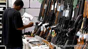 Florida House Panel Backs Lowering Age to Buy Rifles, Other Long Guns