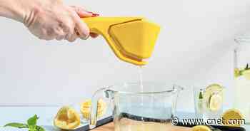 This $15 Citrus Juicer Squeezes Circles Around the Competition     - CNET