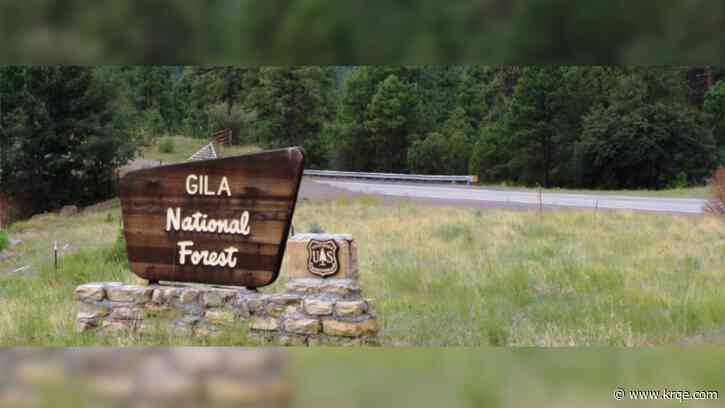 Officials plan prescribed burn in Gila National Forest