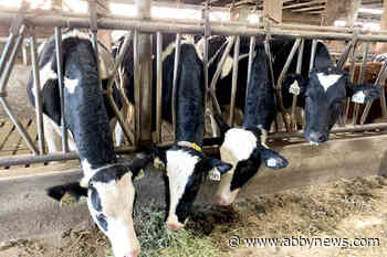 New agreement with Ottawa promises more support for B.C. farmers