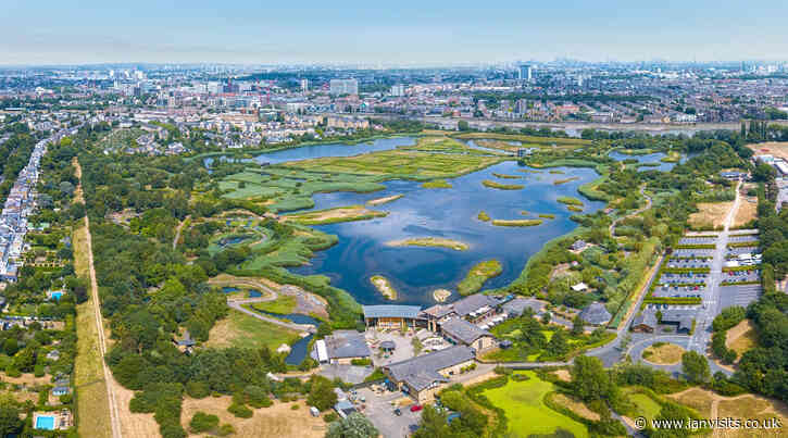 Cheap entry to the London Wetland Centre
