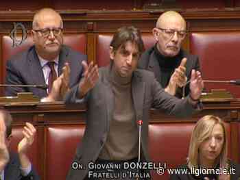 Giurì d'onore: Donzelli non ha leso l'onorabilità del Pd