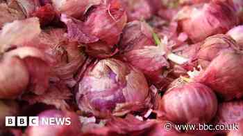 Maharashtra: India farmers march in protest as onions rot