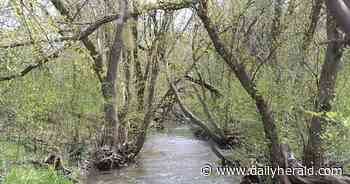 Final phase of Lake in the Hills' Woods Creek restoration project up in air